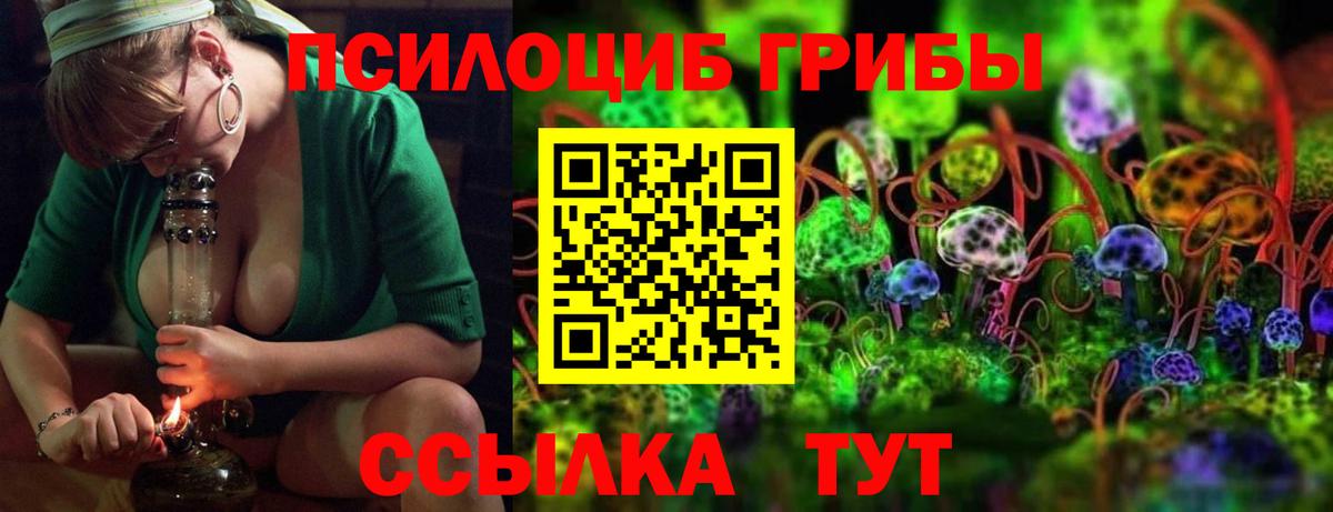 Галлюциногенные грибы прущие грибы Волгодонск