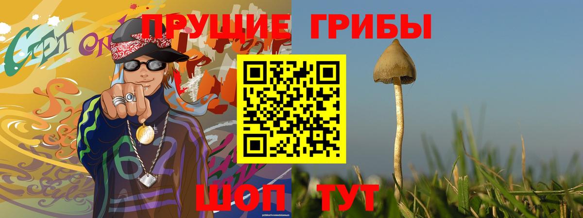 Галлюциногенные грибы GOLDEN TEACHER  Галлюциногенные грибы мицелий  Волгодонск  Вход с VPN 